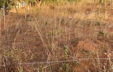 Imagem 5: Lote no Residencial Diana