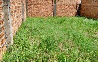 Imagem 2: Vendo Terreno na Andiroba