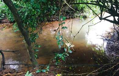 Imagem 7: chacara em inhumas. 5.000m² de Área