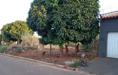 Imagem 2: Vendo lote. 300m² de Área