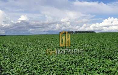 Imagem 14: Fazenda à venda, 6100 Hectares por R$ 770.000 - Zona Rural - Nova Maringá/MT
