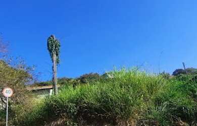 Imagem: Terreno à venda, 1000 m² por R$ 500.000,00 - Vila Omizollo