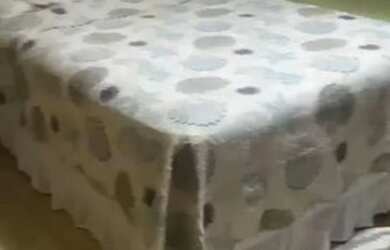 Imagem 6: Aluguel temporada recanto Garatucaia