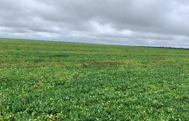 Imagem 7: Fazenda à venda, 6100 Hectares por R$ 770.000 - Zona Rural - Nova Maringá/MT