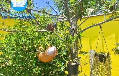 Imagem 7: TSI -Espetacular Casa para Venda, Saquarema / RJ, bairro Jaconé