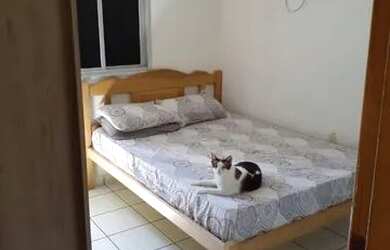 Imagem 3: Vendo. 44m² de Área, 1 Vaga na garageme2 Dormitórios