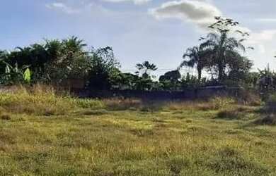 Imagem 5: Terreno para Venda em Rio de Janeiro, Ilha de Guaratiba