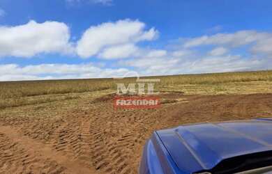 Imagem: A fazenda possui 500m² de Área e está localizado em Paraúna