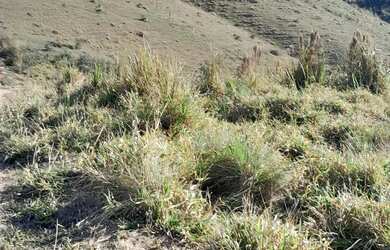 Imagem 5: Vende se um terreno no pouso alegre