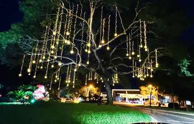 Imagem 15: LOTE PLANO. 350m² de Área