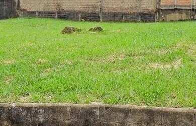 Imagem 4: TERRENO CITY RIBEIRÃO. 490m² de Área