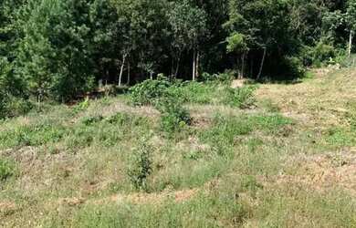 Imagem 2: CAXIAS DO SUL - Terreno Padrão - SÃO LUIZ DA 6ª LÉGUA