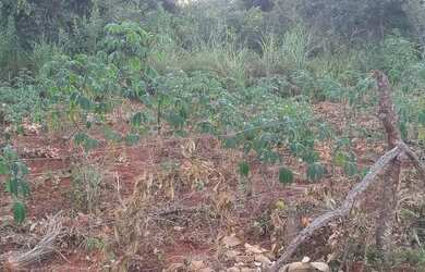 Imagem 1: Vendo lote em canto do engenho, troco em carro ou moto