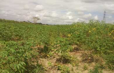Imagem: O terreno possui 2.463m² de Área e está localizado em Vila