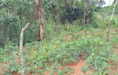 Imagem 4: Vendo lote em canto do engenho, troco em carro ou moto