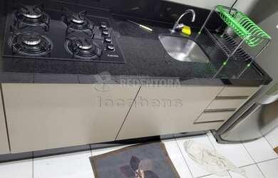 Imagem 8: São José do Rio Preto - Apartamento Padrão - Vila Itália