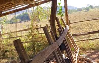 Imagem 2: Terra 3 alqueires fazenda