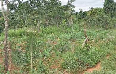 Imagem 5: Vendo lote em canto do engenho, troco em carro ou moto