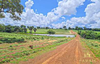 Imagem 10: Fazenda à Venda no Município de Flores de Goiás