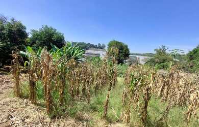 Imagem 5: Terreno à venda, 4619 m² por R$ 4.619.000,00 - Granja Viana - Cotia/SP