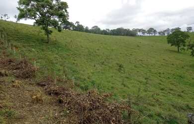 Imagem 15: Lote/Terreno para venda possui 1000 metros quadrados em Moinho I - Nazaré...
