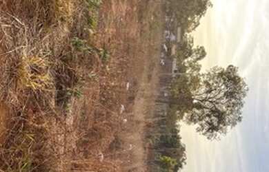 Imagem 4: Lote no Residencial Diana