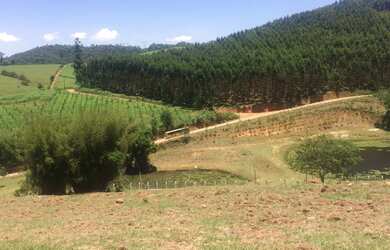 Imagem 8: Venha você e sua familia conhecer este lindo terreno!