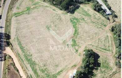 Imagem 5: Área Rural em Piraí do Sul ao lado da rodovia