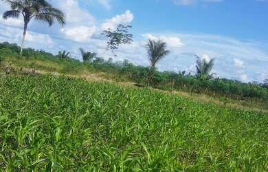 Imagem 5: Chácara rural 250x200. 