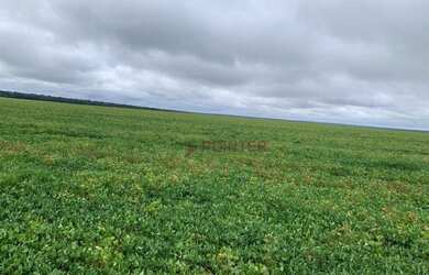 Imagem 5: Fazenda à venda, 6100 Hectares por R$ 770.000 - Zona Rural - Nova Maringá/MT