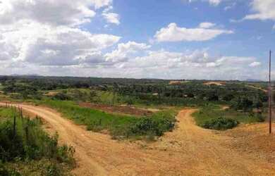 Imagem: O terreno está localizado em Lagarto, SE à venda por R$12.000