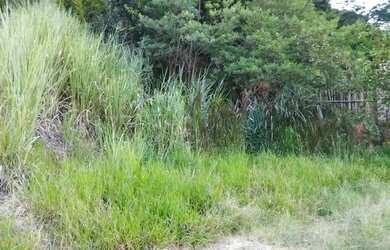 Imagem 4: Lote em ibirite. 208m² de Área