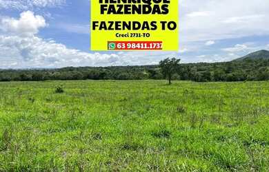 Imagem 8: Fazenda região central de Palmas a Porto Nacional