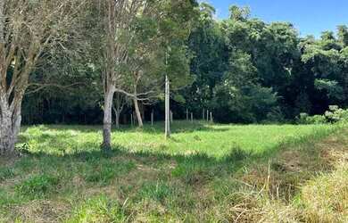 Imagem 2: Linda chácara na área urbana do município de Corbélia!!!