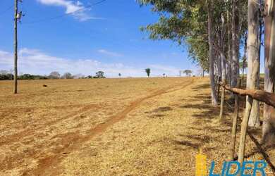 Imagem 3: Fazenda à venda, ÁREA RURAL DE UBERLÂNDIA - Uberlândia/MG