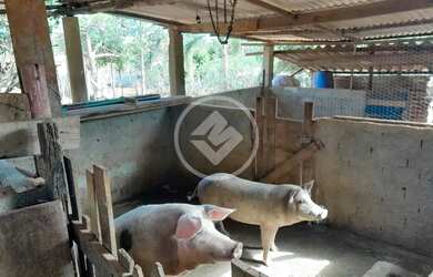 Imagem: A fazenda possui 98m² de Área e está localizado em Leopoldo