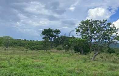 Imagem 10: Fazenda à venda com 422ha - Dupla aptidão em Unai - MG