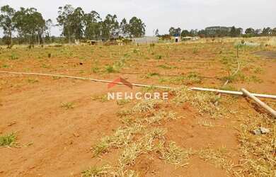 Imagem 4: Casa em Área Rural - Área Rural de Uberlândia - Uberlândia/MG