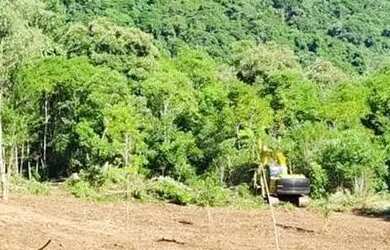 Imagem 3: Sítio / Chácara para Venda em Nova Petrópolis, Linha Riachuelo
