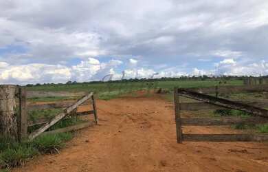 Imagem 4: Fazenda à venda com 422ha - Dupla aptidão em Unai - MG