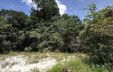 Imagem 2: Praia dos passarinhos Imóvel para venda com 800 metros quadrados em Ponta Negra - Manaus
