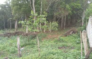 Imagem 9: Oportunidade 3 mil mts 57 mil reais