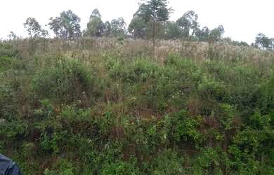 Imagem: O terreno possui 1200m² de Área e está localizado em Ewbank