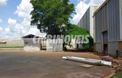 Imagem 15: Galpão - Betel - Paulínia