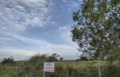 Imagem 4: Lote/Terreno para aluguel e venda com 10600 metros quadrados