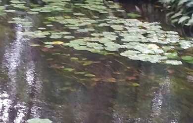 Imagem 5: Fazenda natividade. 700m² de Área