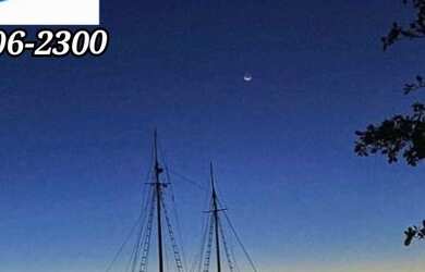 Imagem 5: Lote/Terreno para aluguel e venda com 10600 metros quadrados