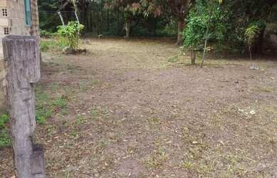 Imagem 1: Vendo Terreno 8x55 Em Jubim