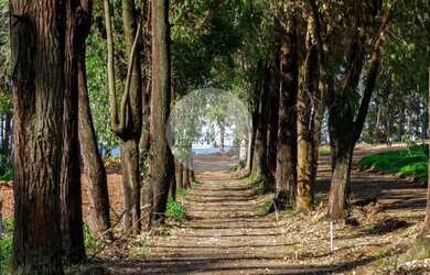 Imagem: O terreno à venda possui 500m² de Área, Piscina e Varanda