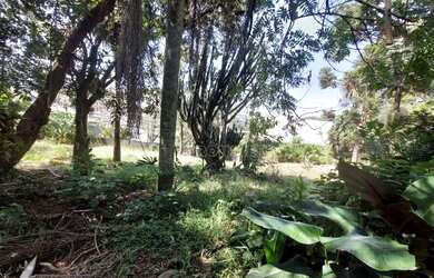 Imagem 12: Terreno à venda, 4619 m² por R$ 4.619.000,00 - Granja Viana - Cotia/SP